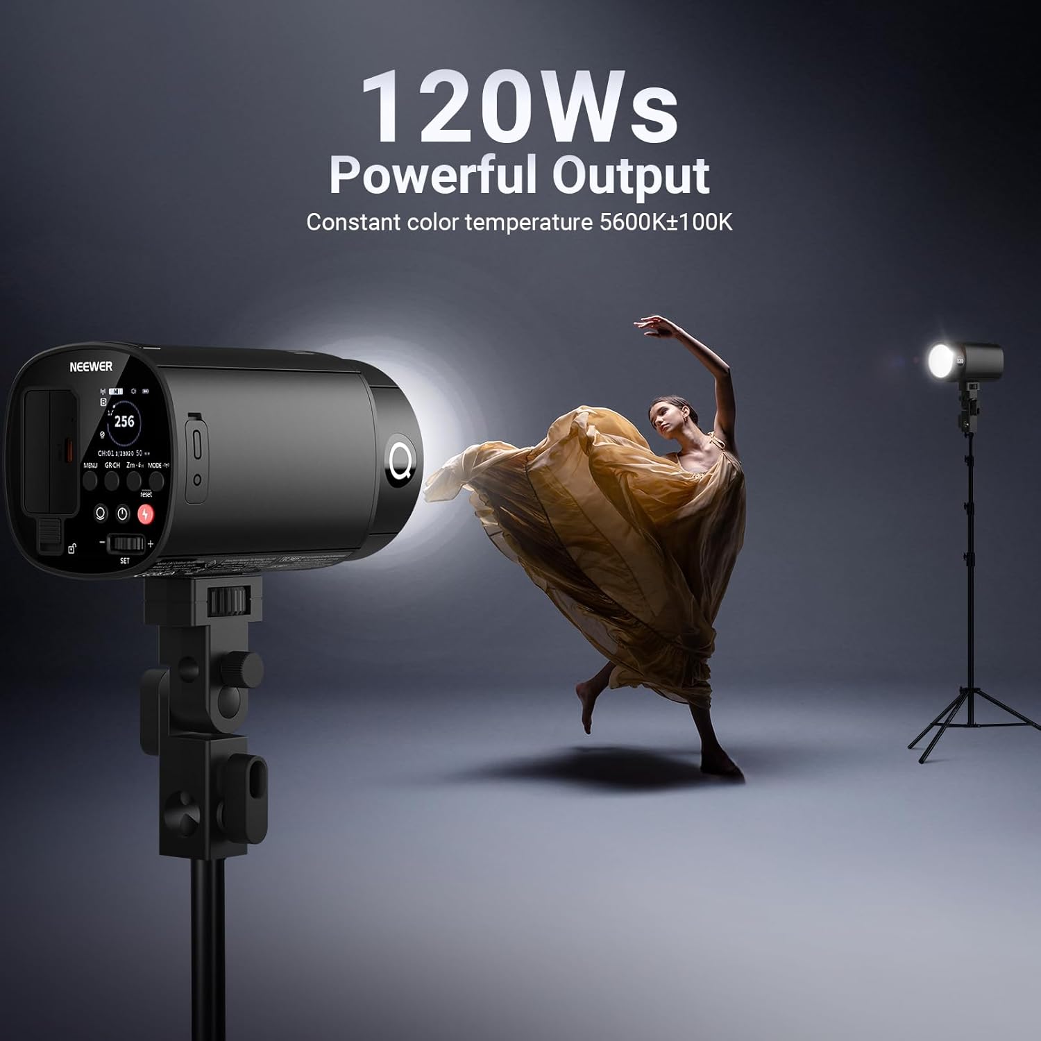 NEEWER 120Ws 2.4G TTL屋外ストロボフラッ - Photography Kit Pro のレビューと価格
